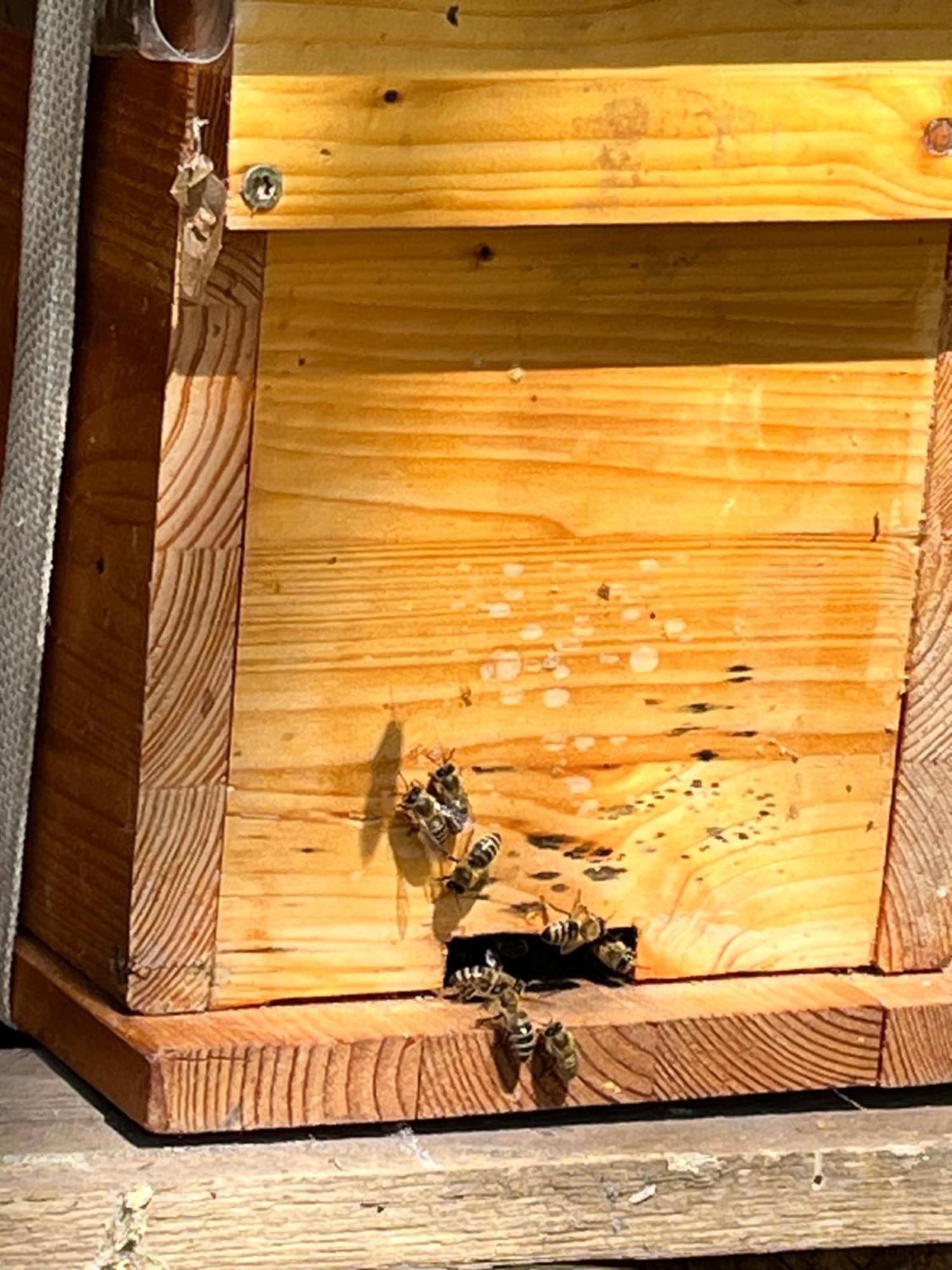 Wald Ist Zukunft Hotel Bernbeuren Bagian luar foto