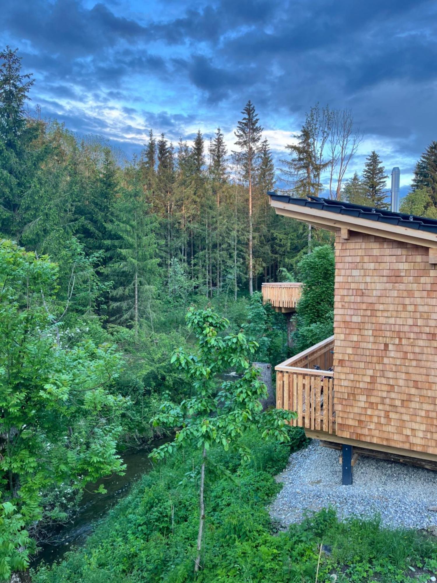 Wald Ist Zukunft Hotel Bernbeuren Bagian luar foto