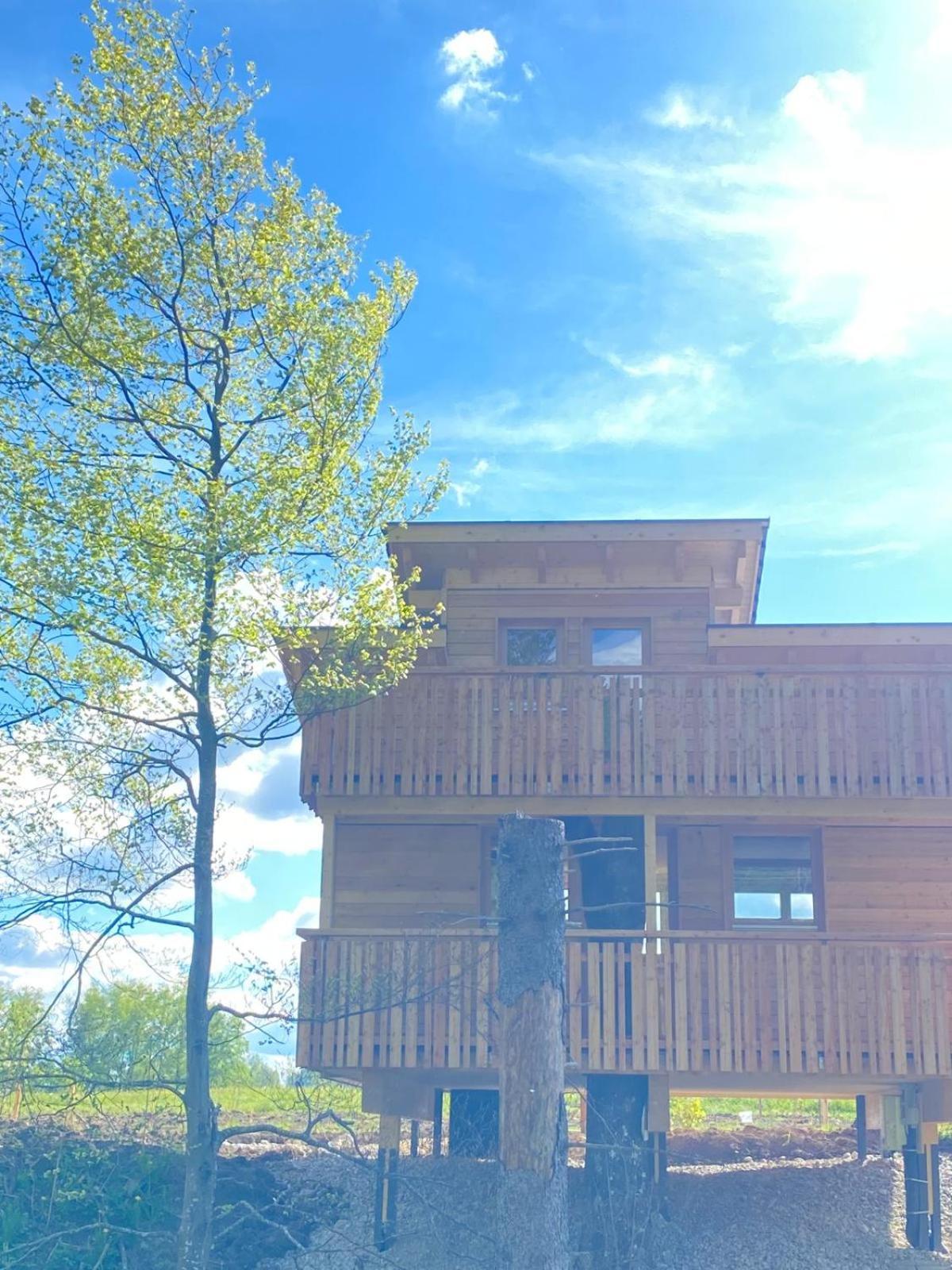 Wald Ist Zukunft Hotel Bernbeuren Bagian luar foto