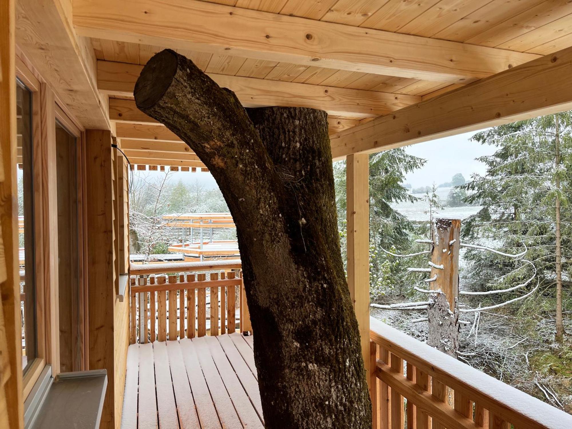 Wald Ist Zukunft Hotel Bernbeuren Bagian luar foto