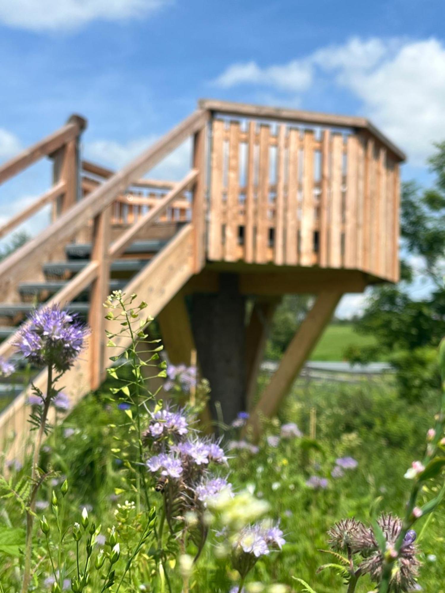 Wald Ist Zukunft Hotel Bernbeuren Bagian luar foto