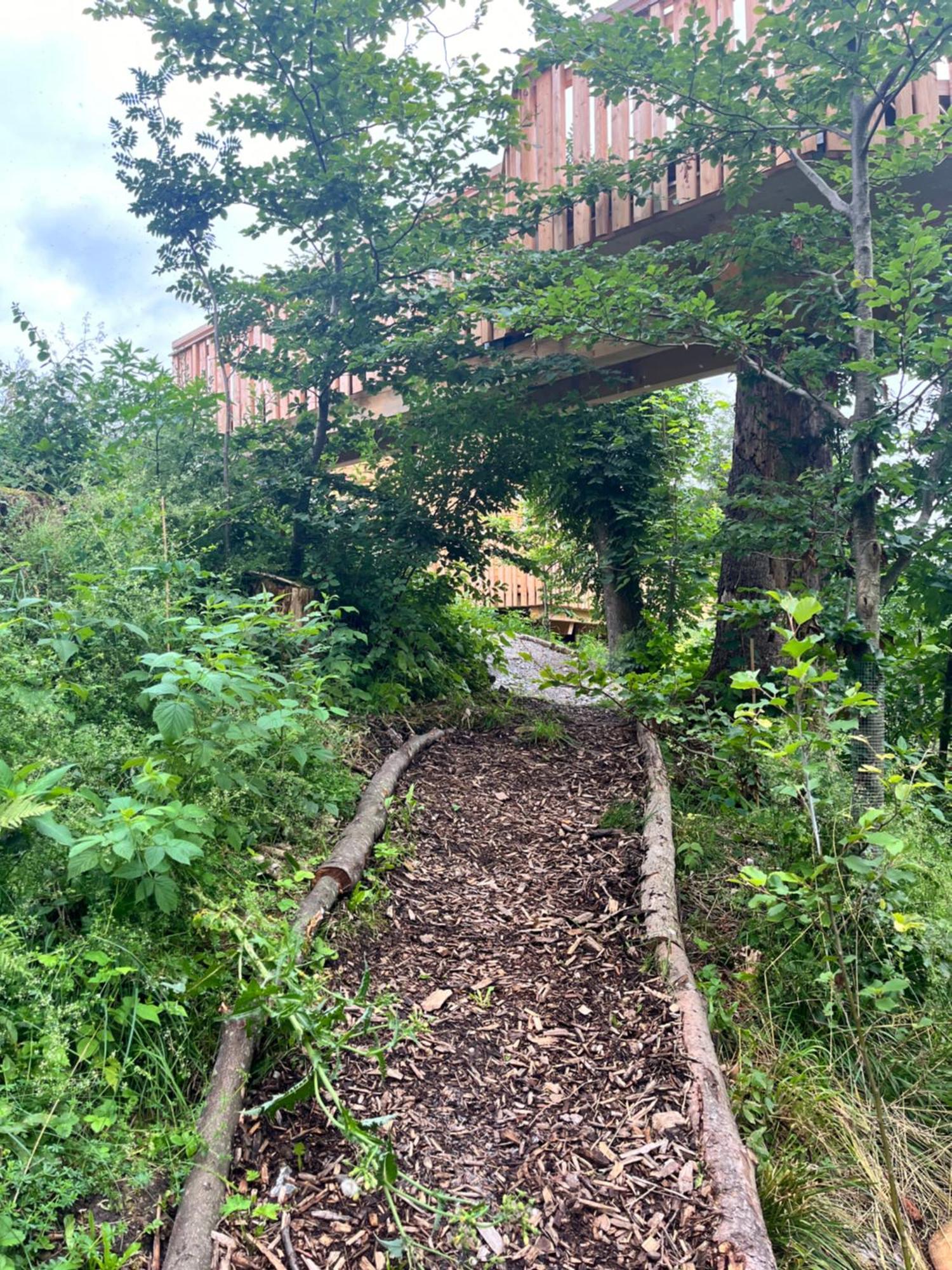 Wald Ist Zukunft Hotel Bernbeuren Bagian luar foto