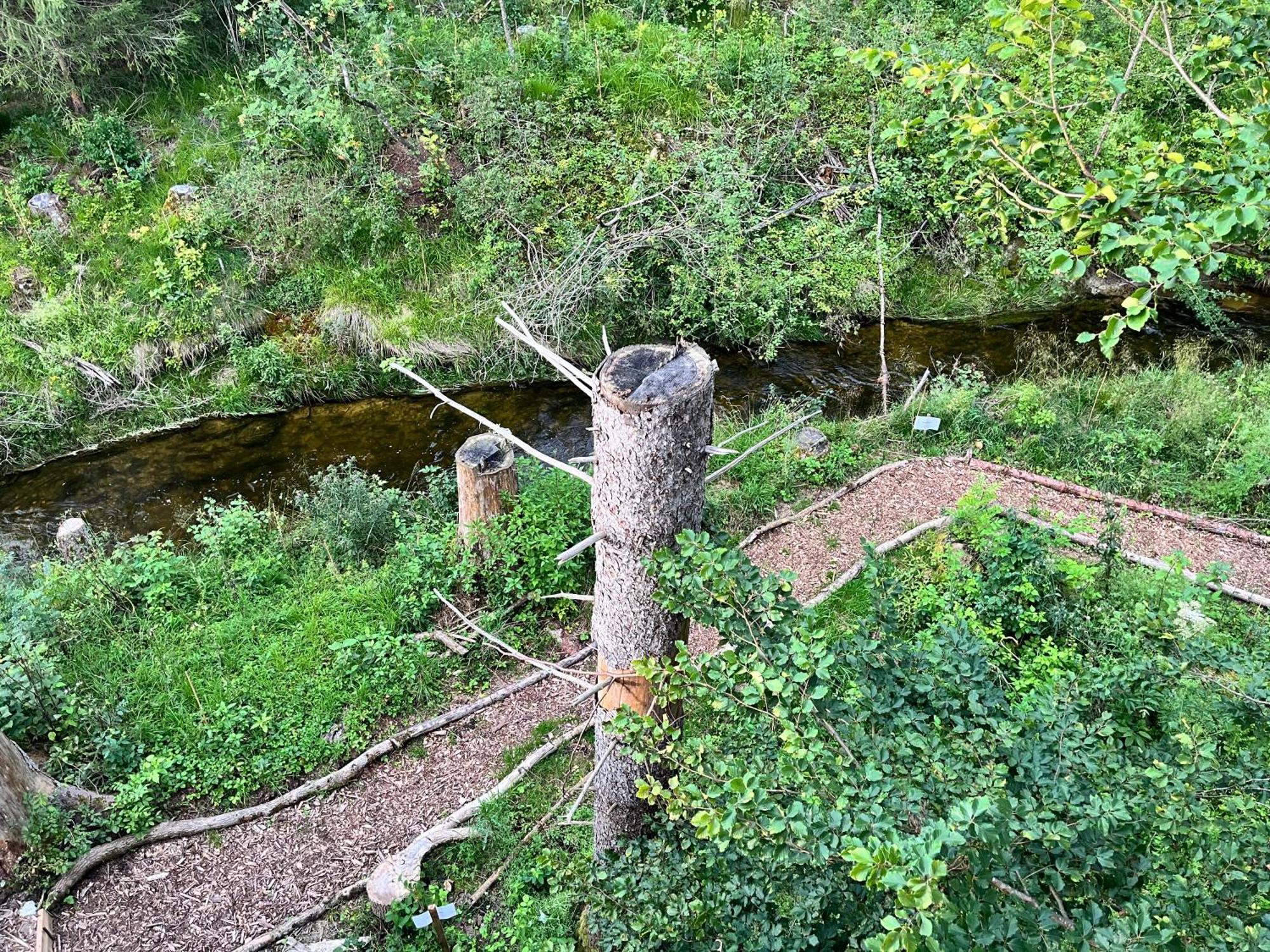 Wald Ist Zukunft Hotel Bernbeuren Bagian luar foto