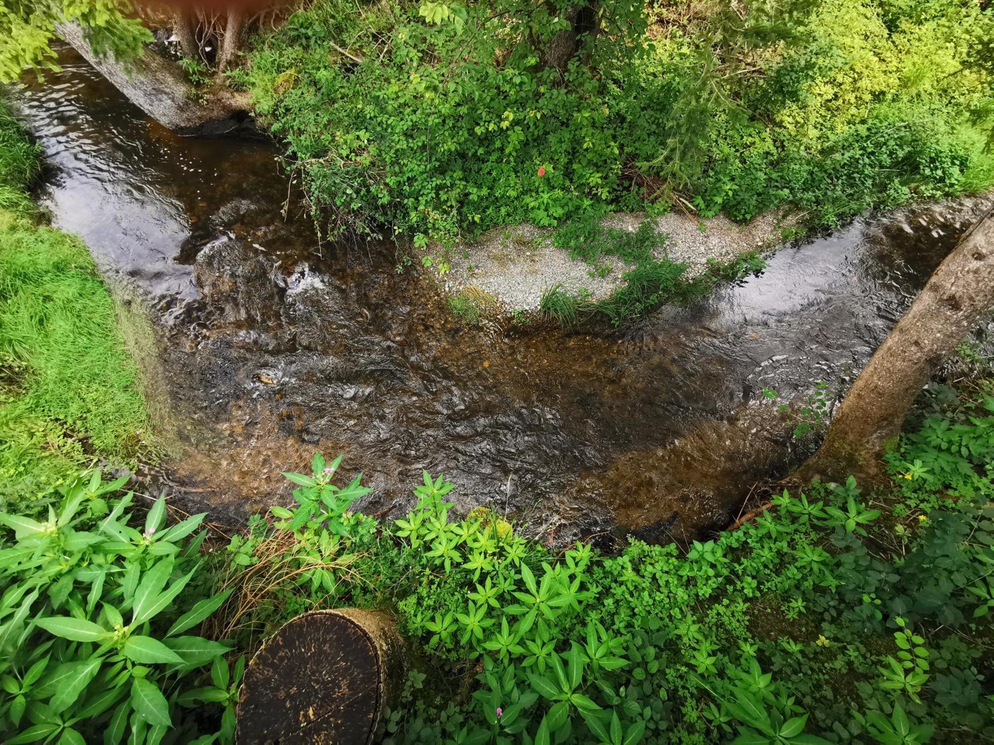 Wald Ist Zukunft Hotel Bernbeuren Bagian luar foto
