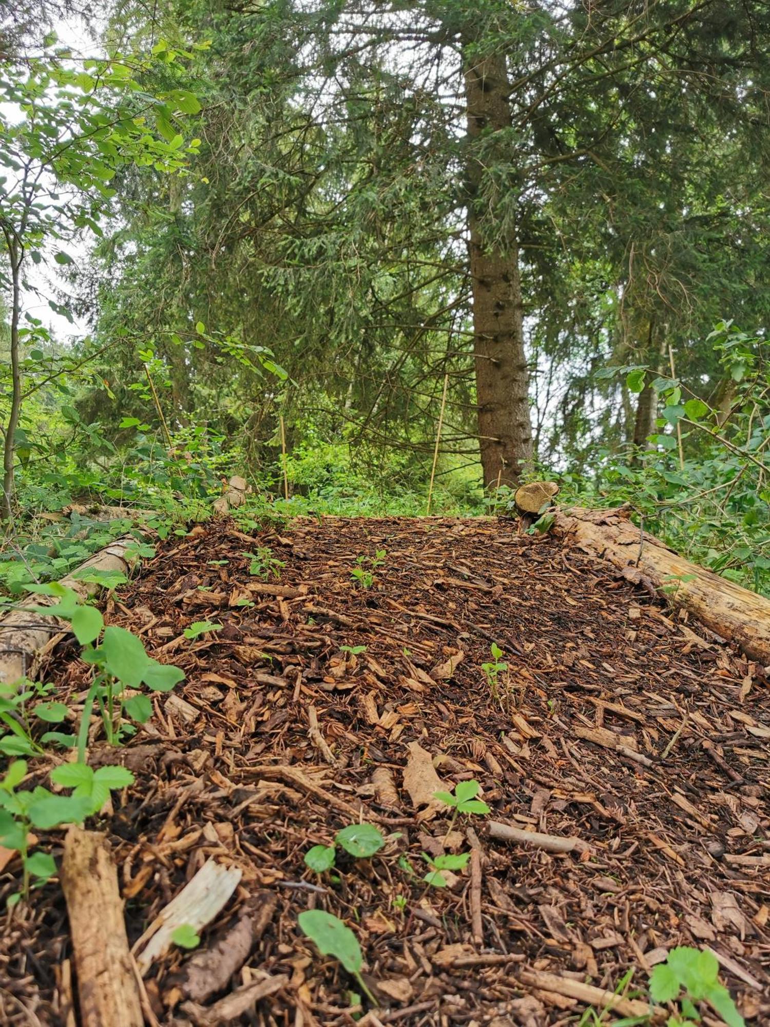 Wald Ist Zukunft Hotel Bernbeuren Bagian luar foto