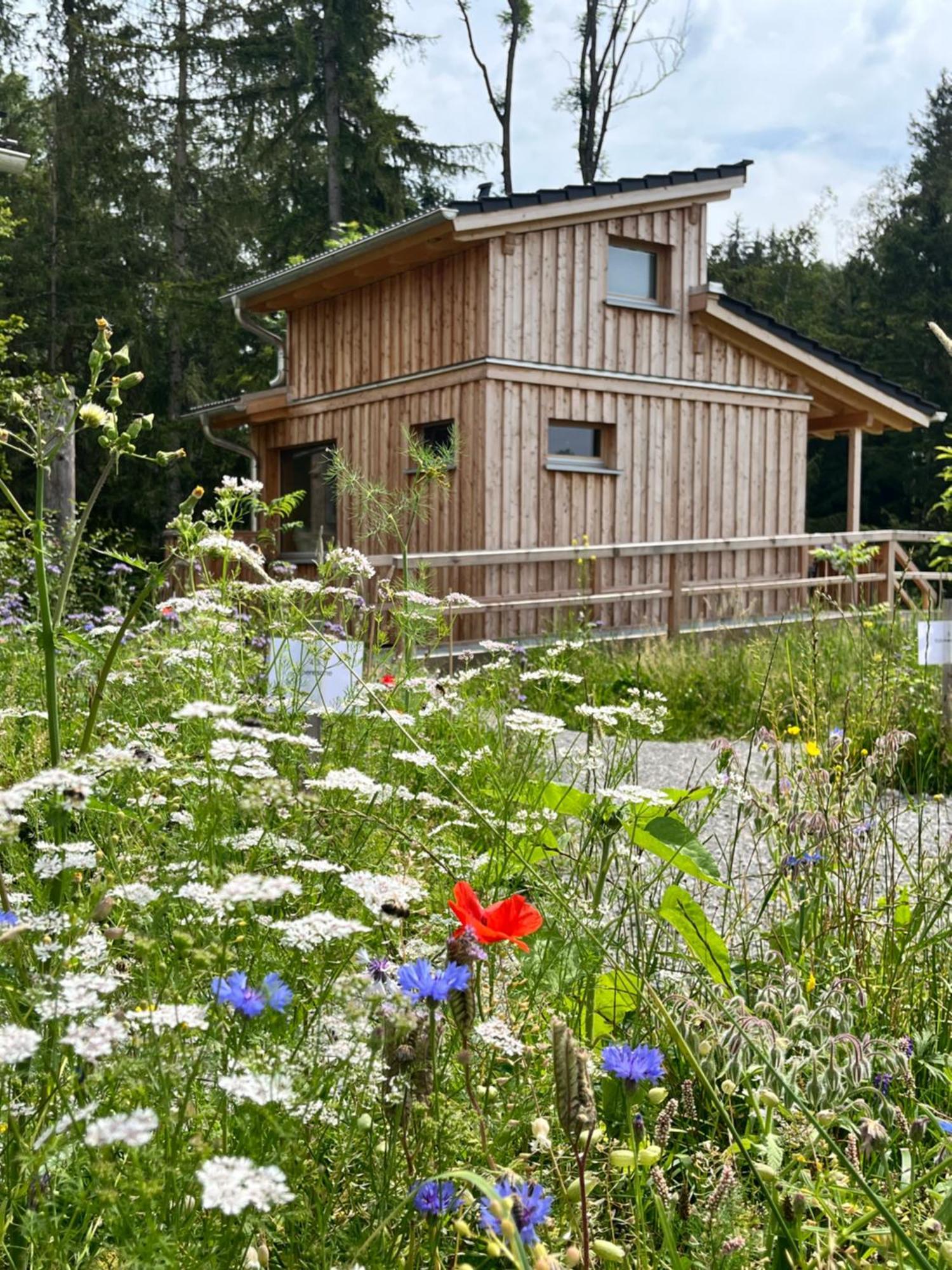 Wald Ist Zukunft Hotel Bernbeuren Bagian luar foto