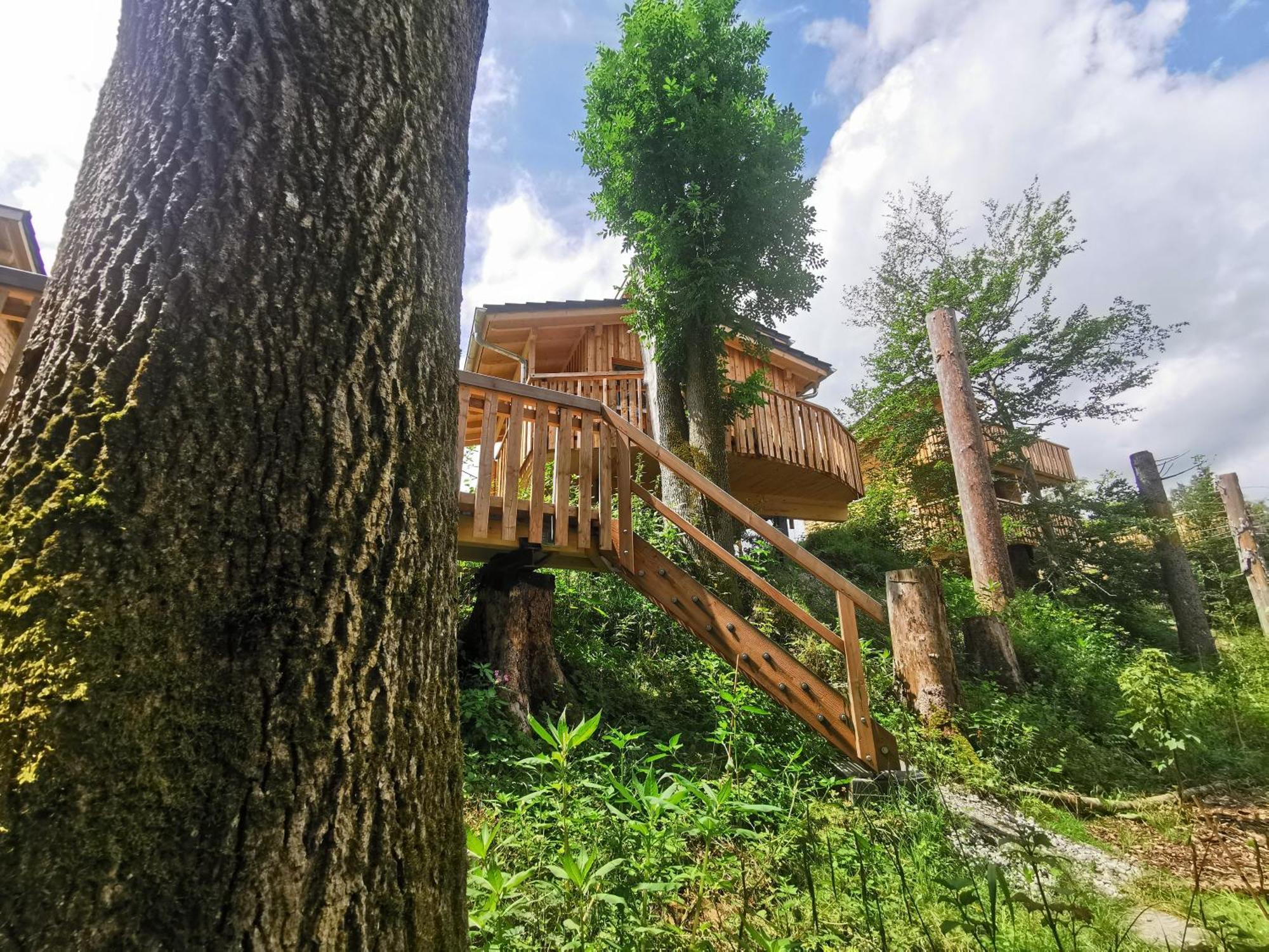 Wald Ist Zukunft Hotel Bernbeuren Bagian luar foto