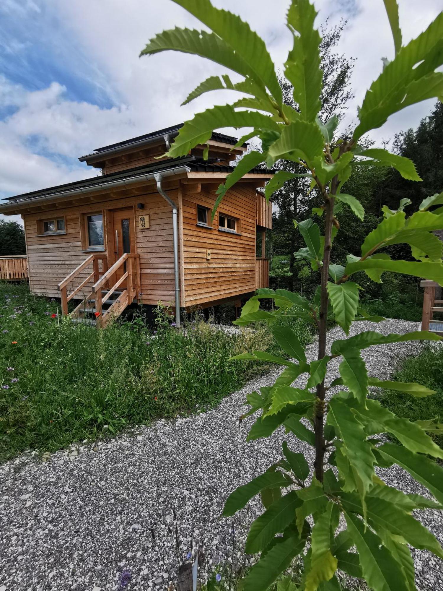 Wald Ist Zukunft Hotel Bernbeuren Bagian luar foto
