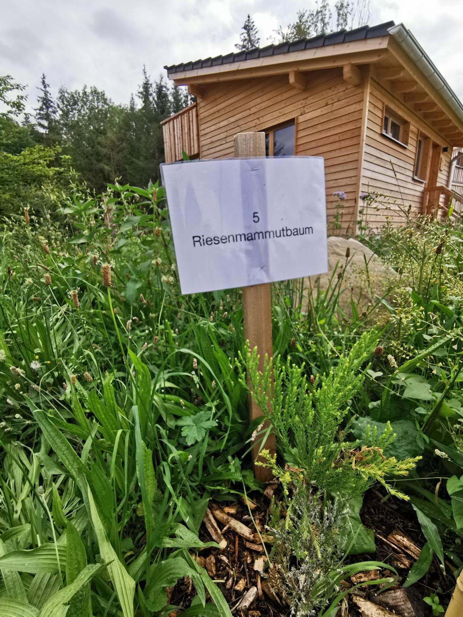 Wald Ist Zukunft Hotel Bernbeuren Bagian luar foto