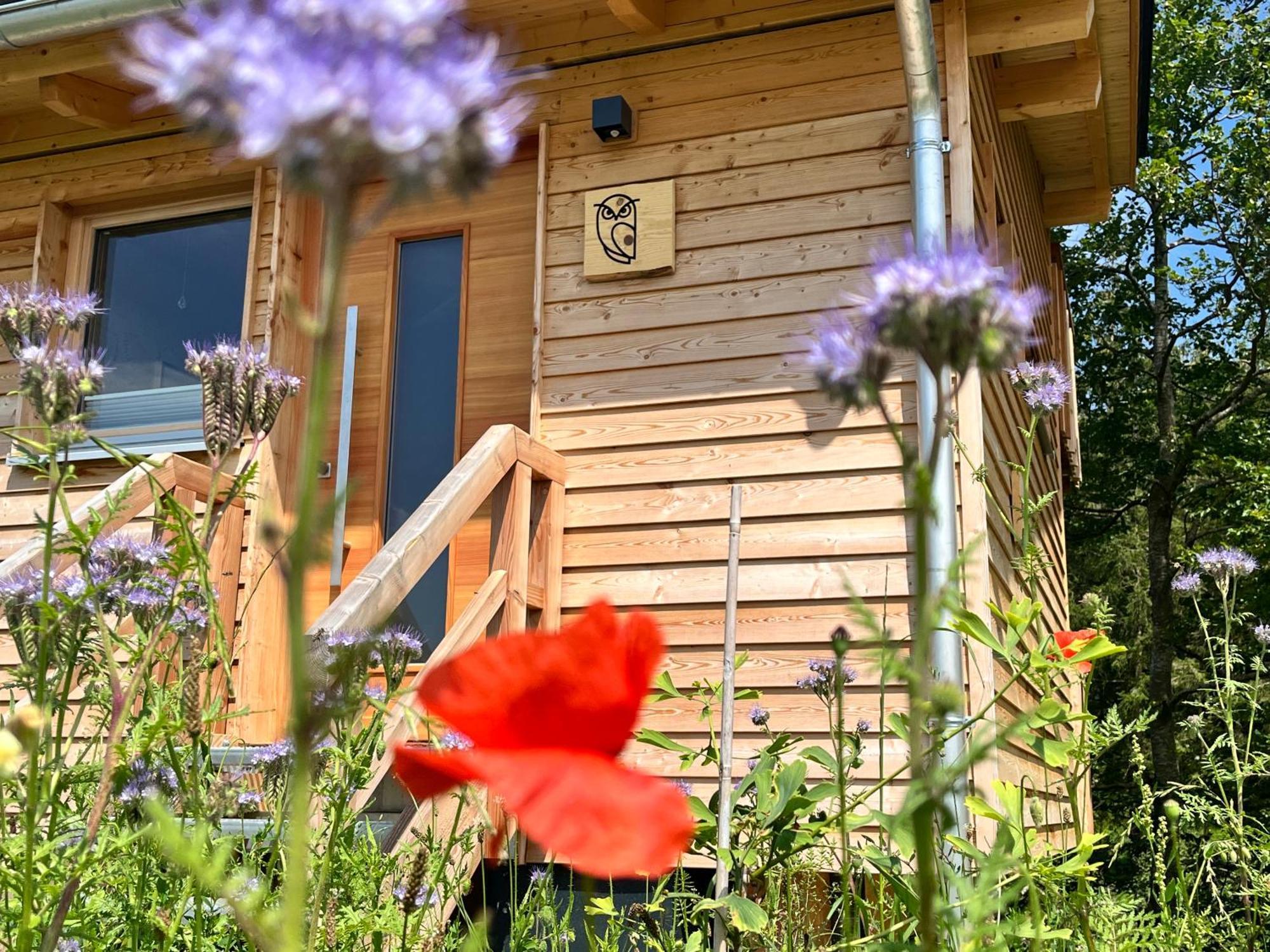 Wald Ist Zukunft Hotel Bernbeuren Bagian luar foto