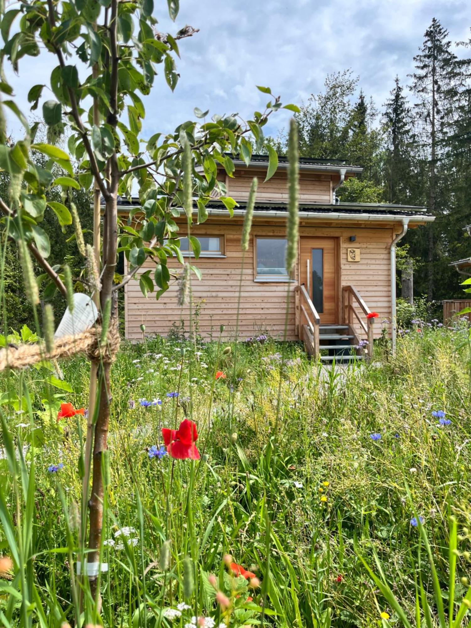 Wald Ist Zukunft Hotel Bernbeuren Bagian luar foto