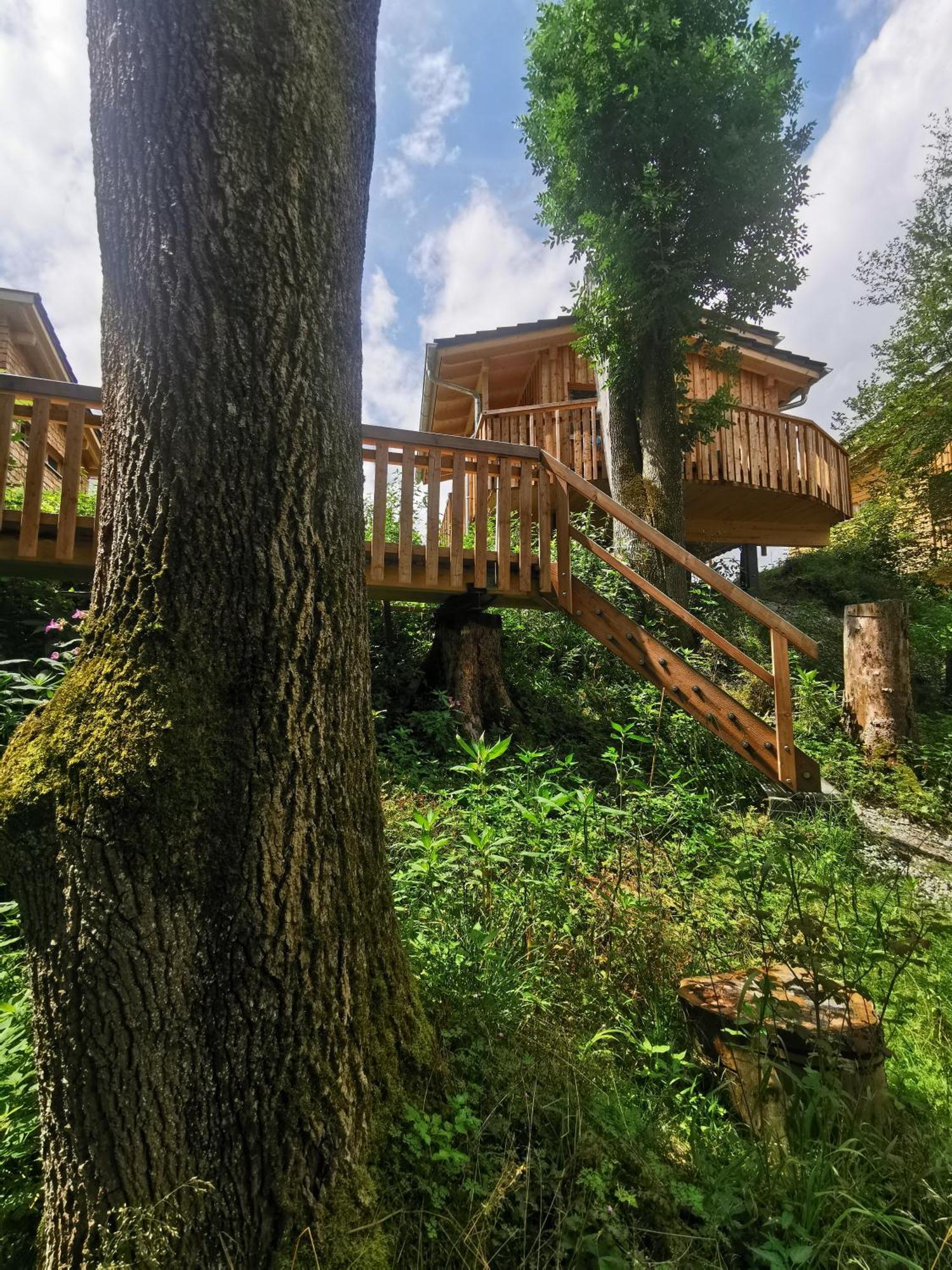 Wald Ist Zukunft Hotel Bernbeuren Bagian luar foto