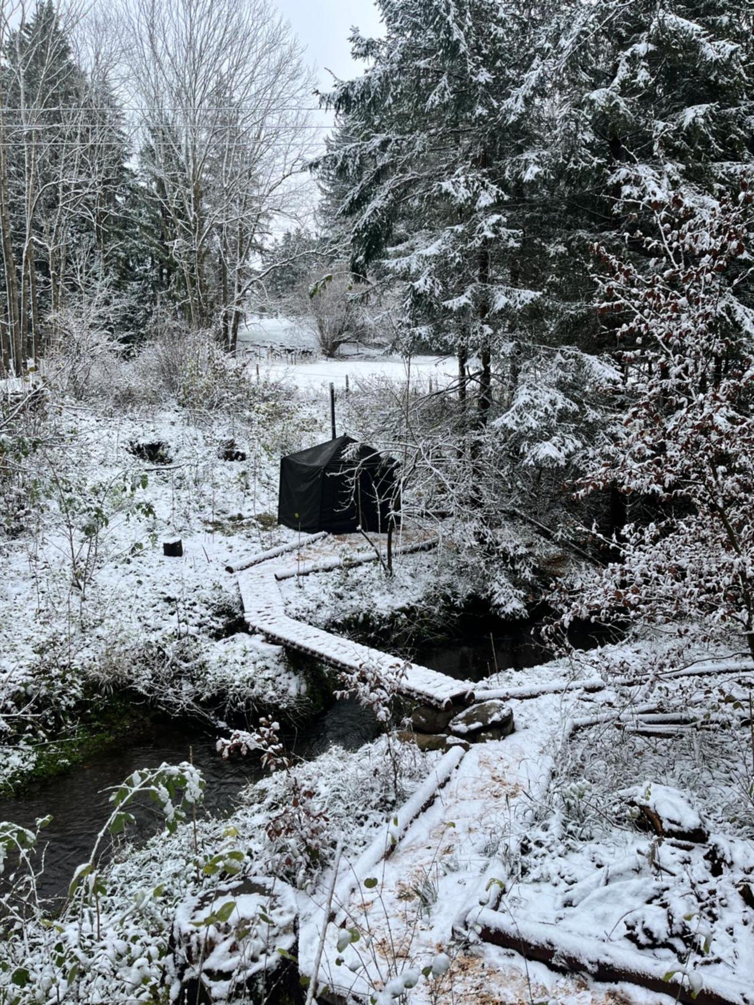 Wald Ist Zukunft Hotel Bernbeuren Bagian luar foto