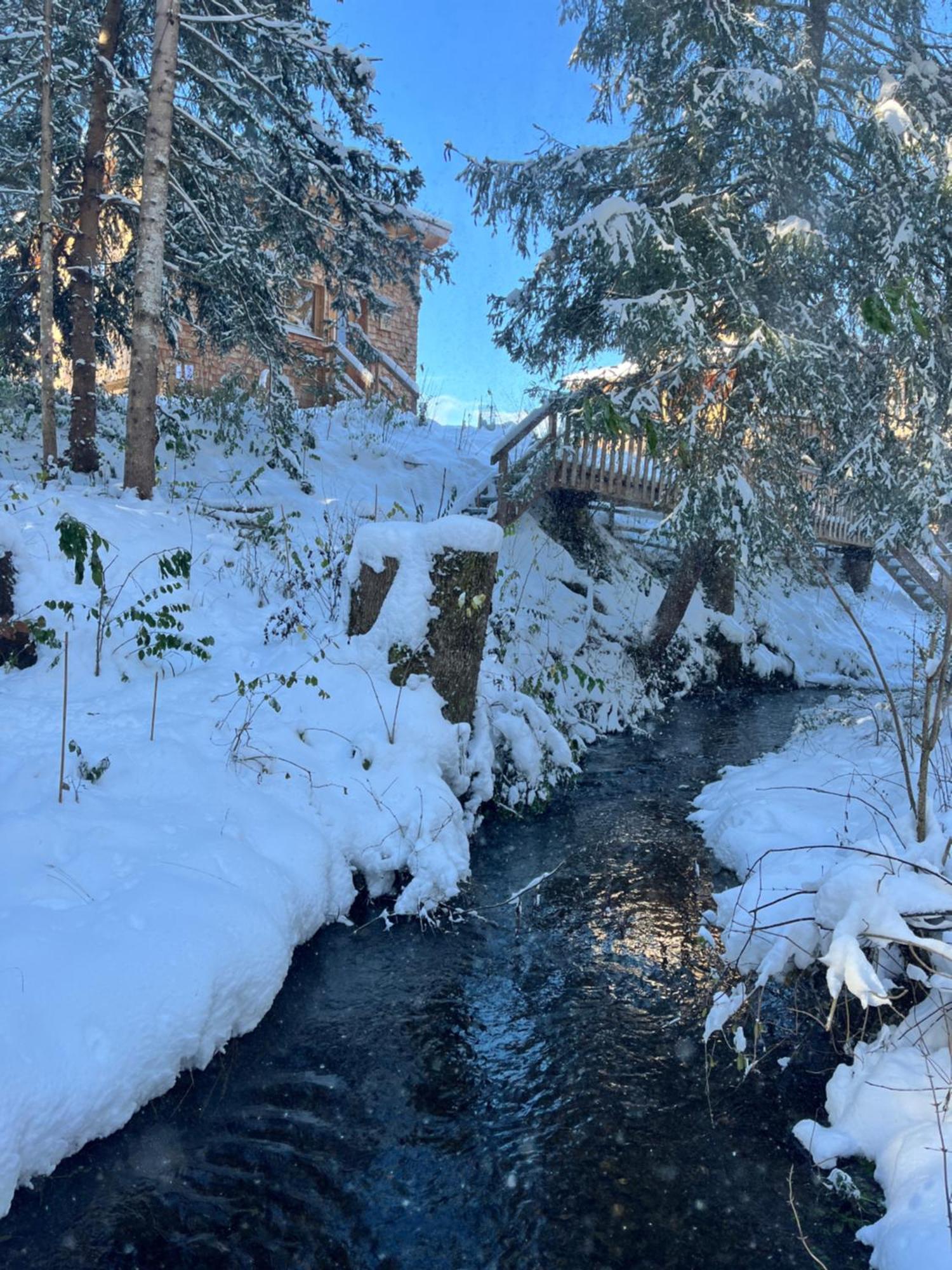 Wald Ist Zukunft Hotel Bernbeuren Bagian luar foto