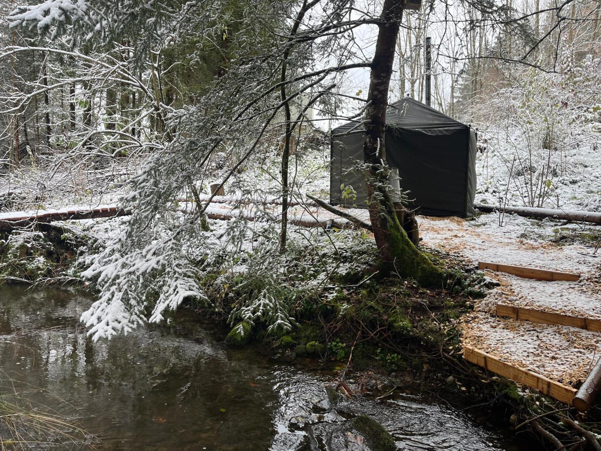 Wald Ist Zukunft Hotel Bernbeuren Bagian luar foto