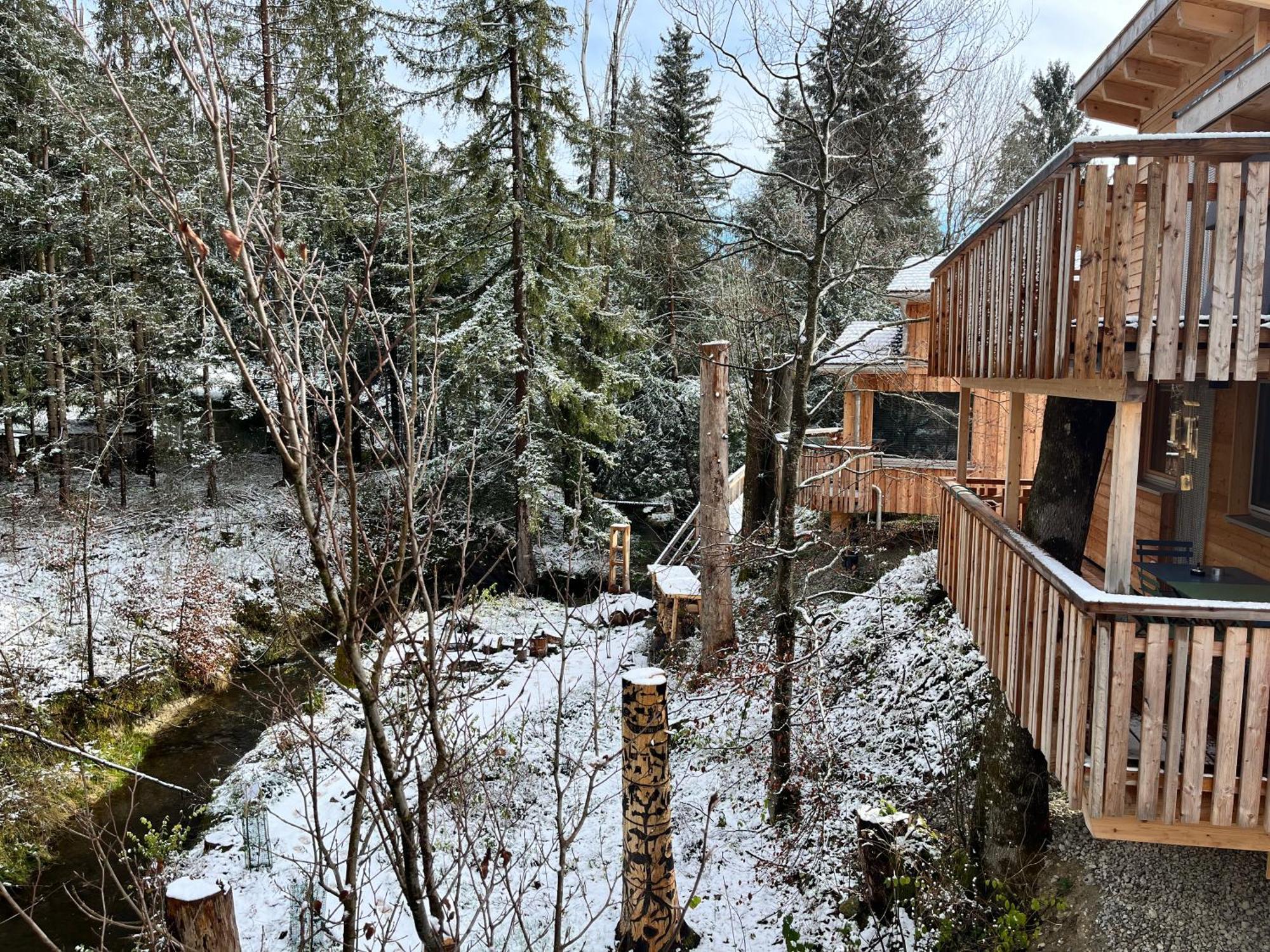 Wald Ist Zukunft Hotel Bernbeuren Bagian luar foto