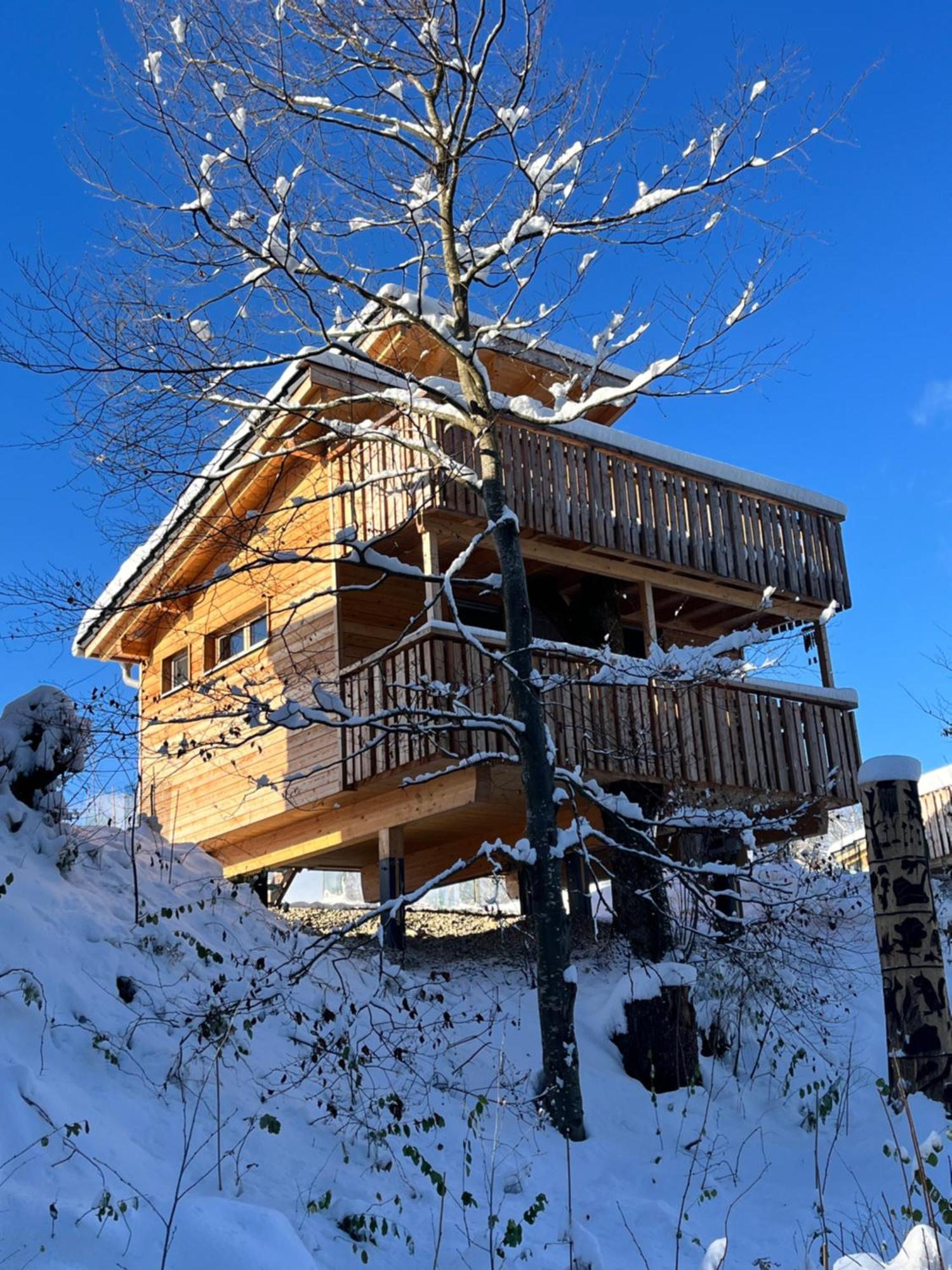 Wald Ist Zukunft Hotel Bernbeuren Bagian luar foto