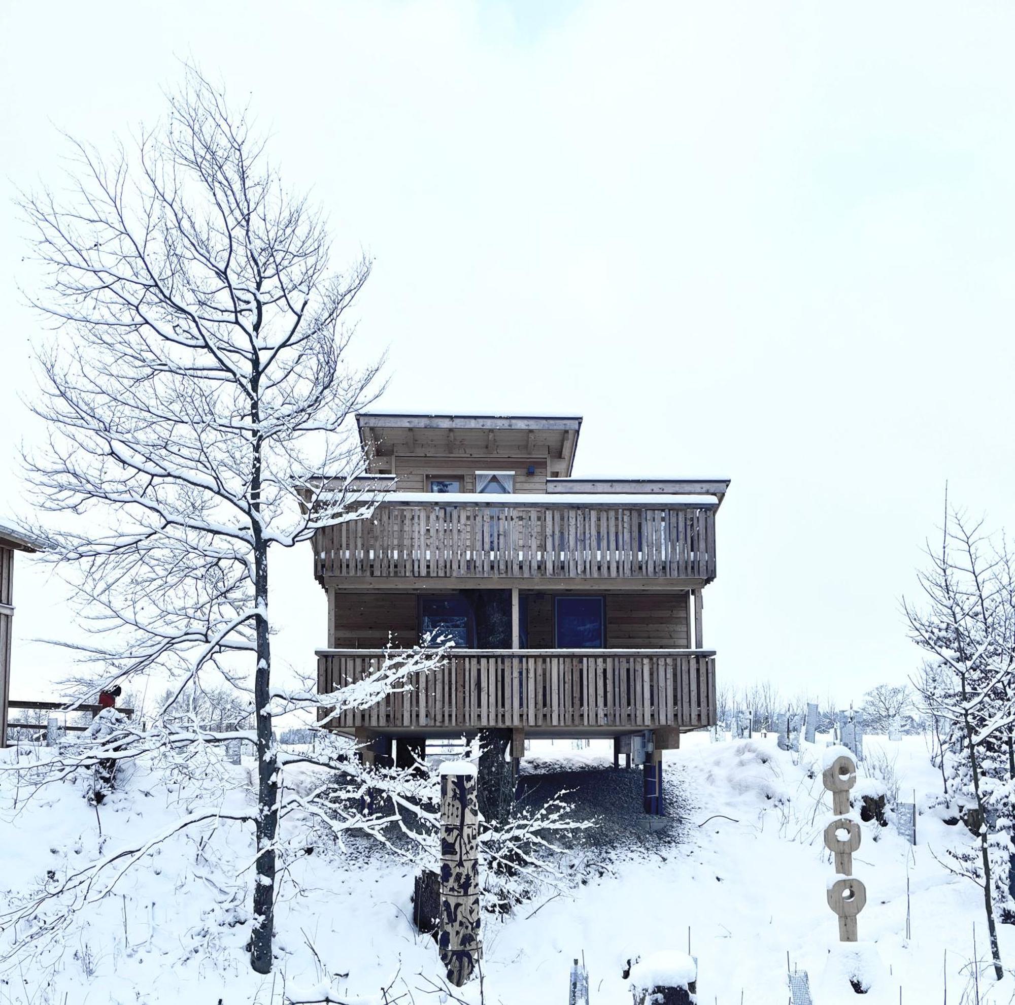 Wald Ist Zukunft Hotel Bernbeuren Bagian luar foto