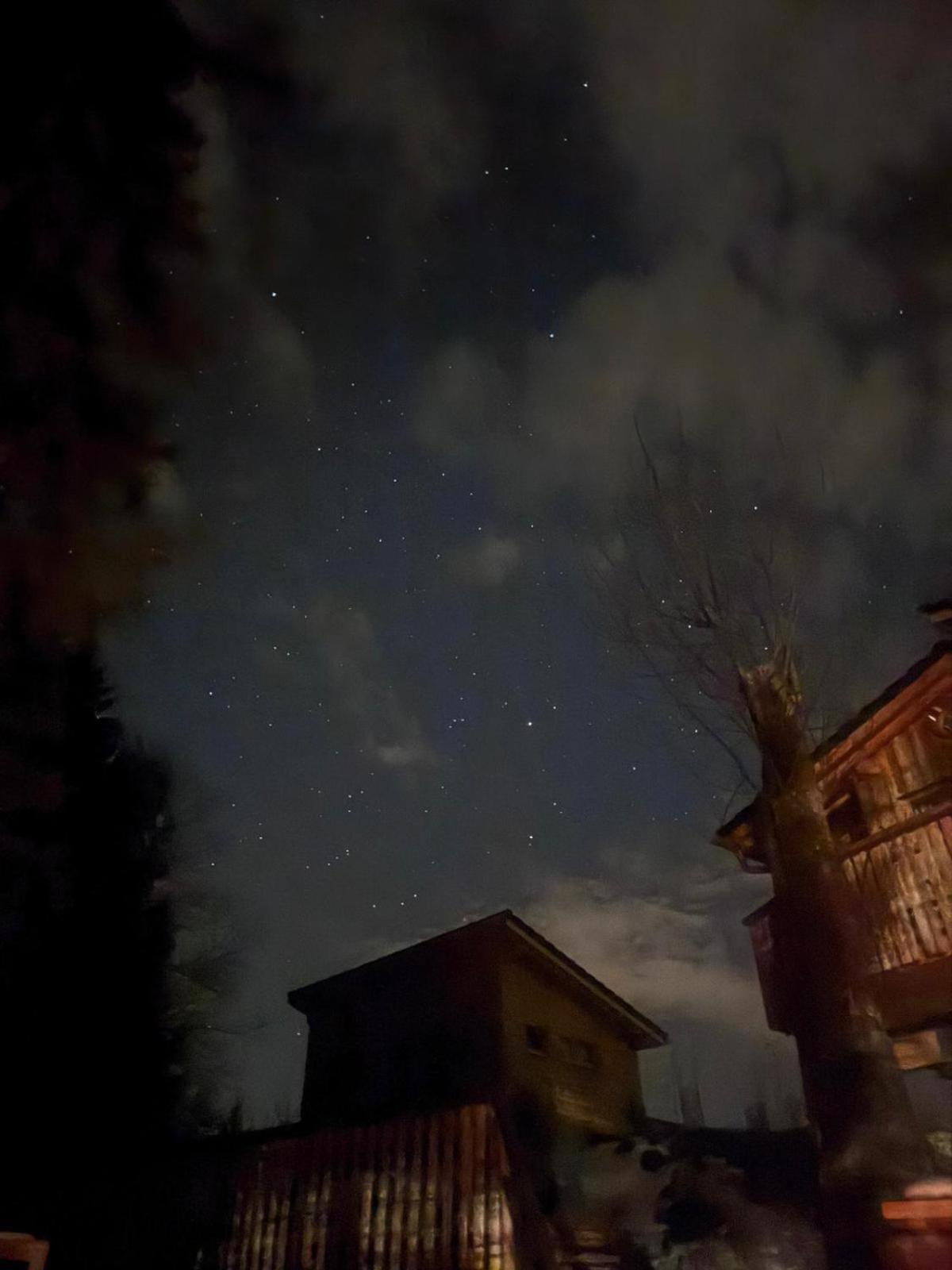 Wald Ist Zukunft Hotel Bernbeuren Bagian luar foto